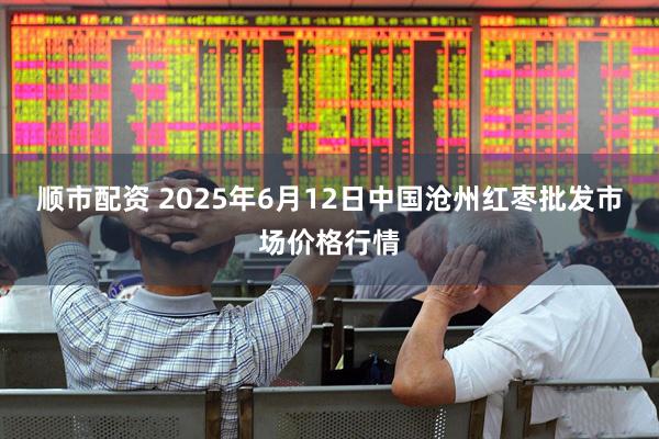 顺市配资 2025年6月12日中国沧州红枣批发市场价格行情
