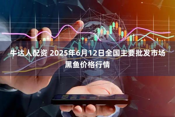 牛达人配资 2025年6月12日全国主要批发市场黑鱼价格行情