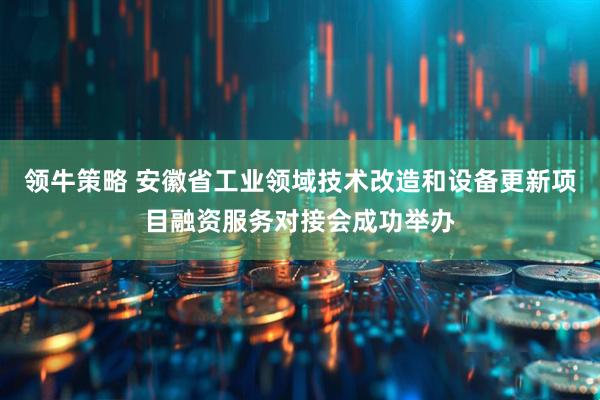 领牛策略 安徽省工业领域技术改造和设备更新项目融资服务对接会成功举办