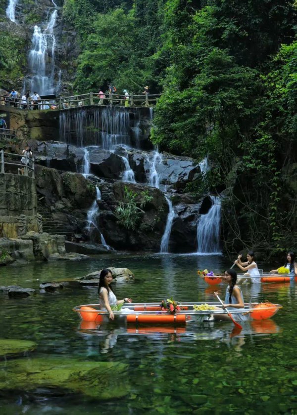 金风资本 鼎湖山“荔”刻清凉派对开启，解锁今夏最野趣的避暑姿势！
