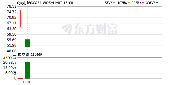 鼎和网 主板上市倒计时！汽车电子“隐形冠军”大明电子IPO实质性落地